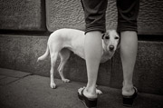 免费轰炸电话软件